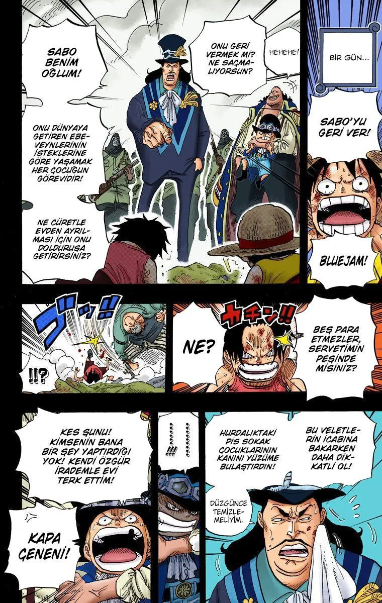 One Piece [Renkli] - Sayfa 19