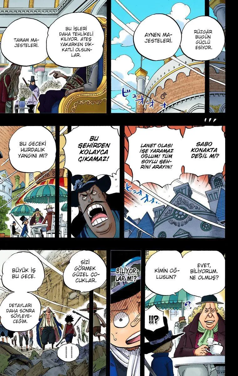 One Piece [Renkli] - Sayfa 12