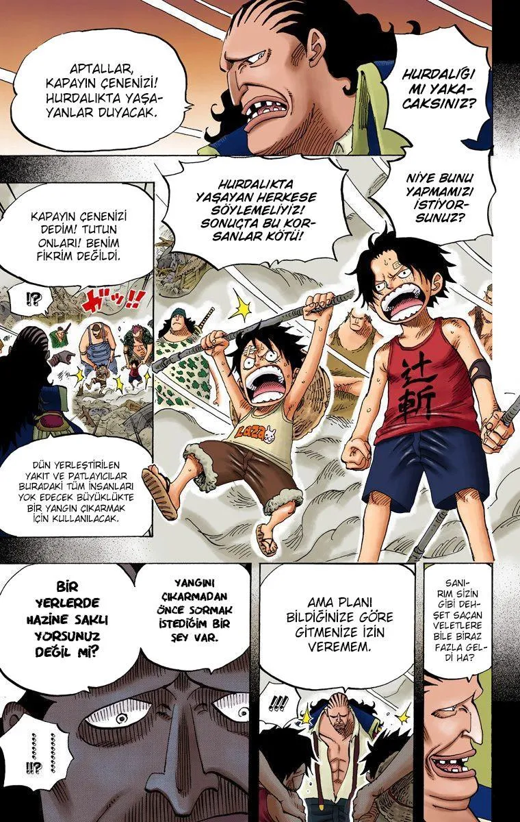 One Piece [Renkli] - Sayfa 14