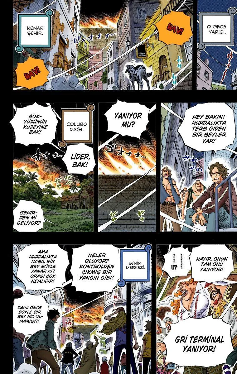 One Piece [Renkli] - Sayfa 15