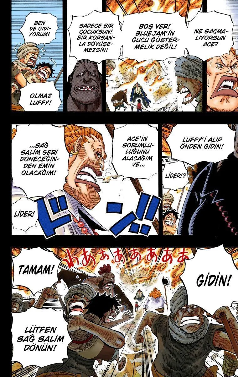 One Piece [Renkli] - Sayfa 13