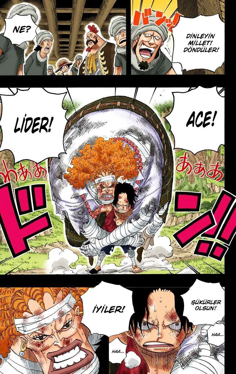 One Piece [Renkli] - Sayfa 9