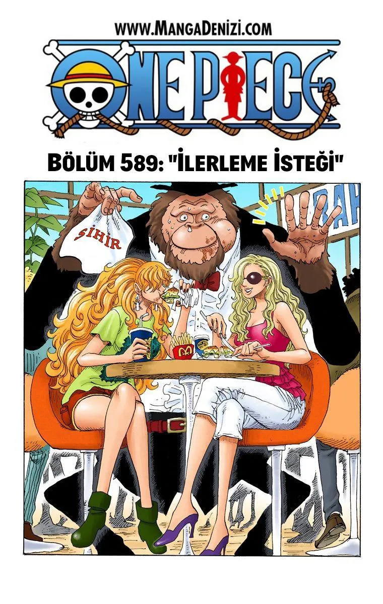 One Piece [Renkli] - Sayfa 2