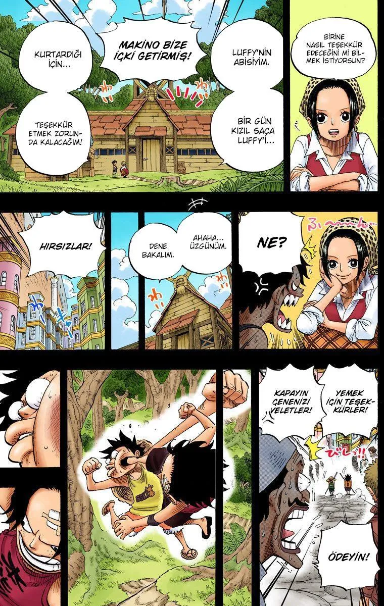 One Piece [Renkli] - Sayfa 12
