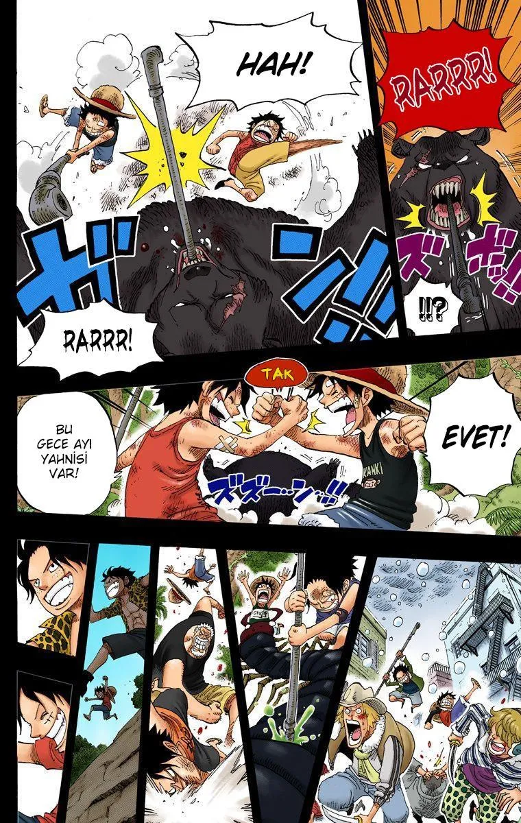 One Piece [Renkli] - Sayfa 13