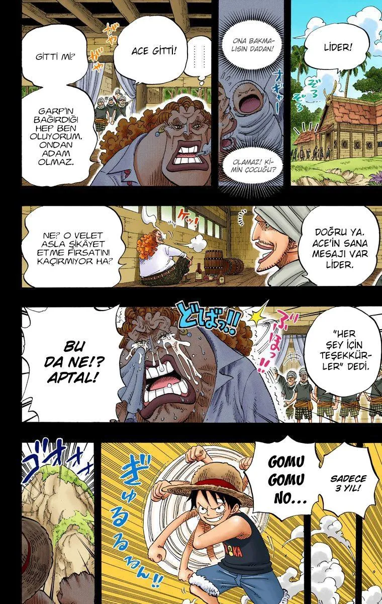 One Piece [Renkli] - Sayfa 15