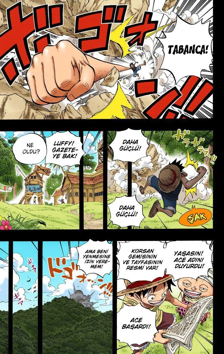 One Piece [Renkli] - Sayfa 16