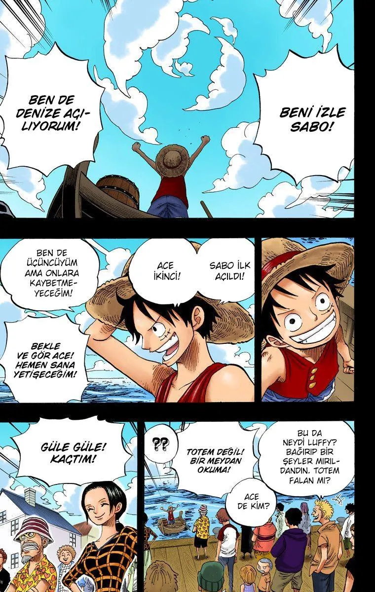 One Piece [Renkli] - Sayfa 18