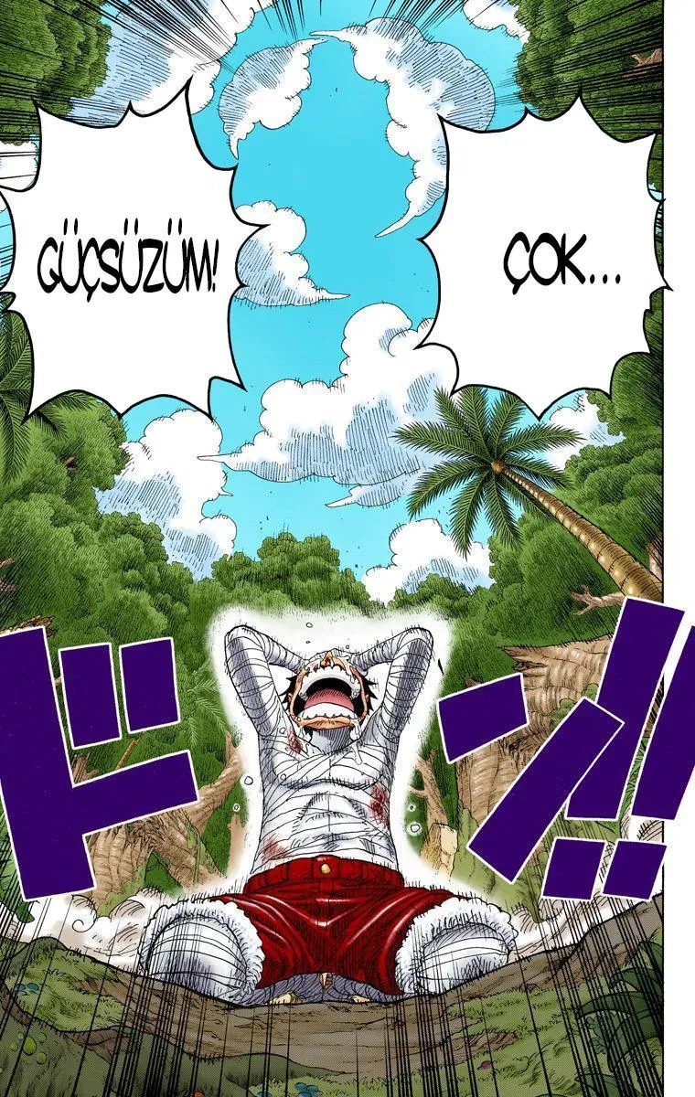 One Piece [Renkli] - Bölüm 0589 - Sayfa 20