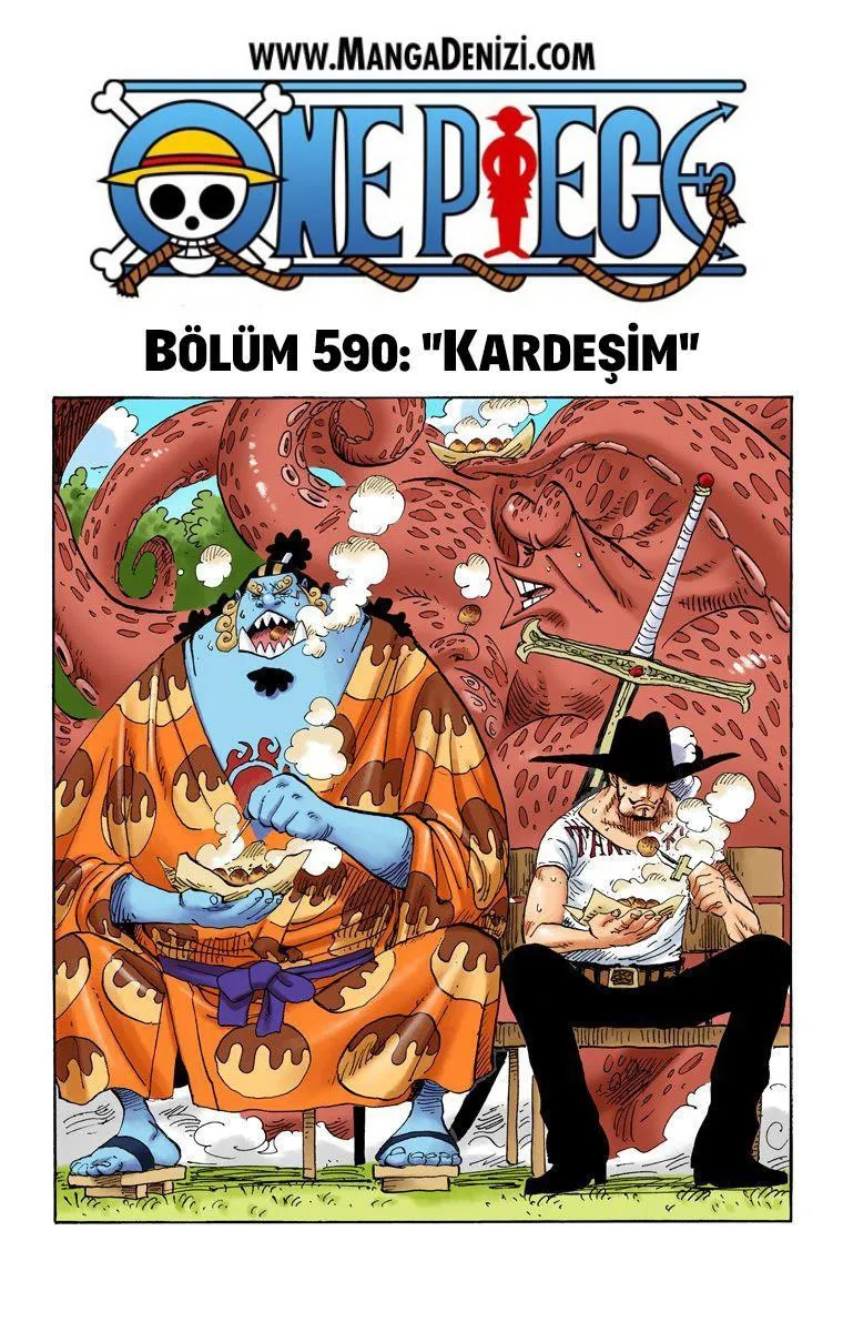 One Piece [Renkli] - Sayfa 2