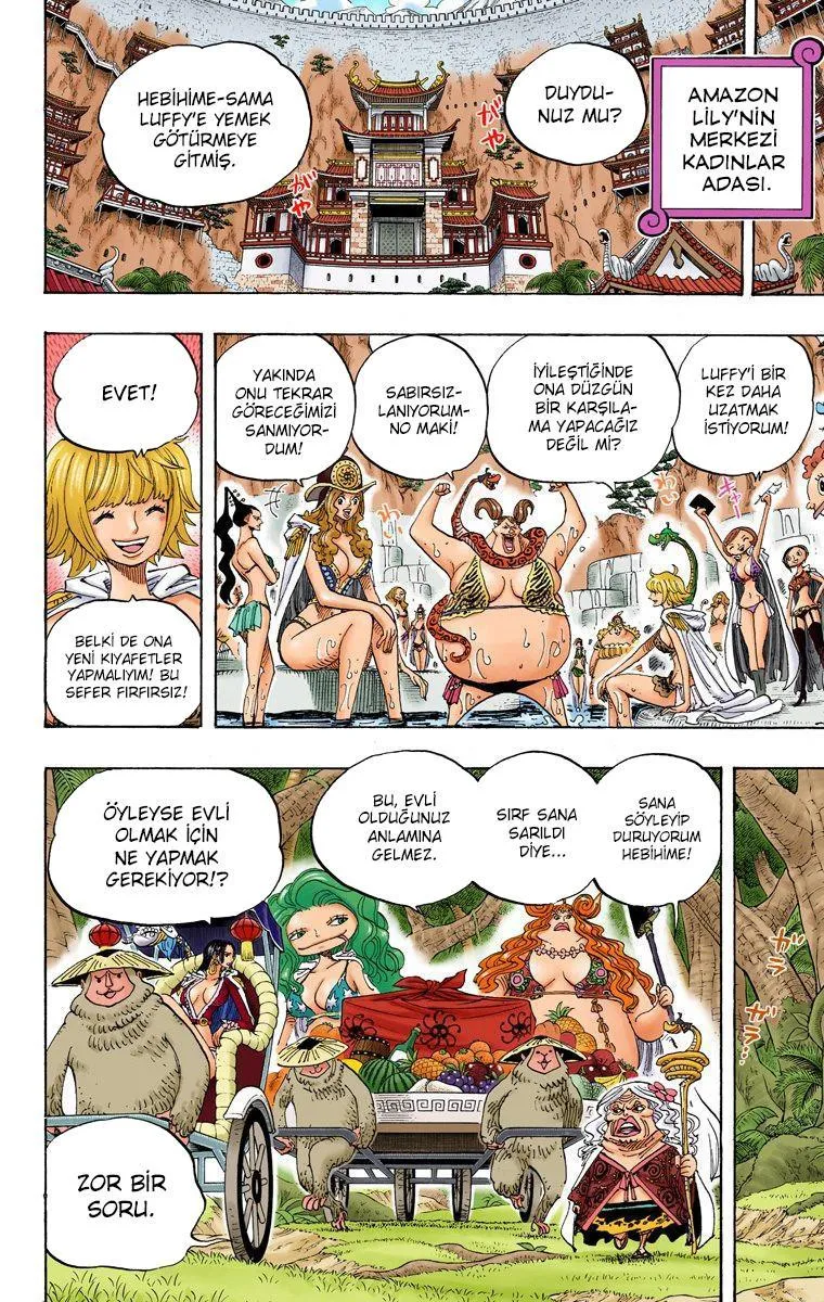 One Piece [Renkli] - Sayfa 5