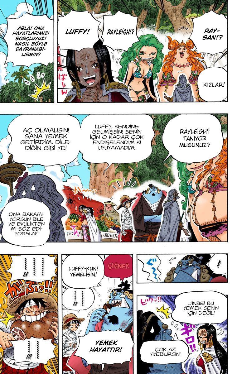 One Piece [Renkli] mangasının 0591 bölümünün 8. sayfasını okuyorsunuz.