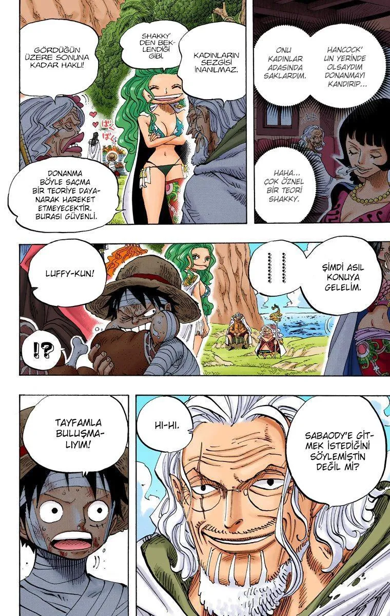 One Piece [Renkli] - Sayfa 11