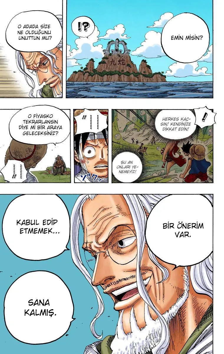 One Piece [Renkli] - Sayfa 12