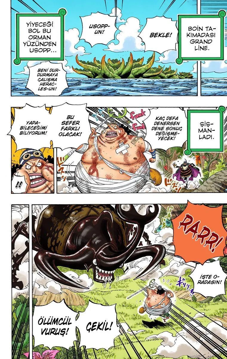 One Piece [Renkli] - Sayfa 13