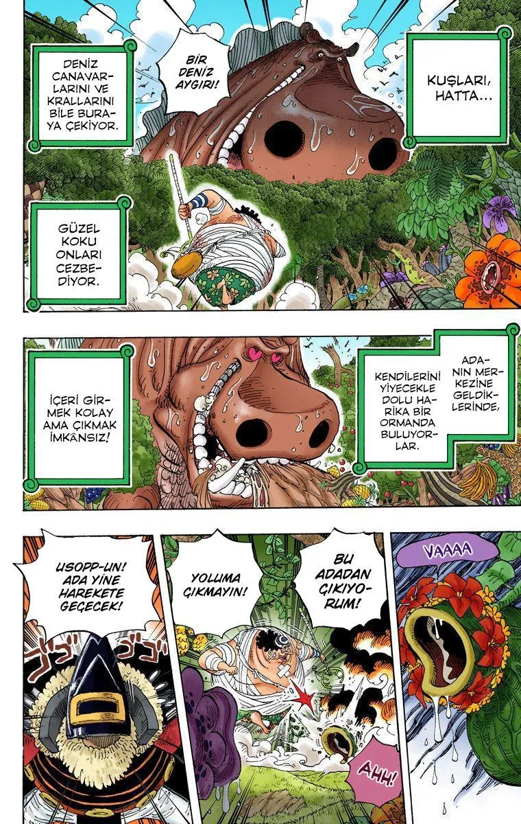 One Piece [Renkli] - Sayfa 15