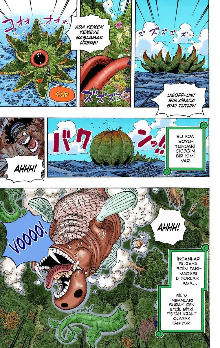 One Piece [Renkli] - Sayfa 16