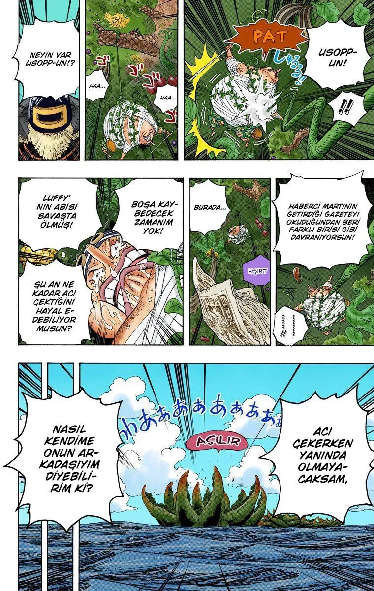 One Piece [Renkli] - Sayfa 17