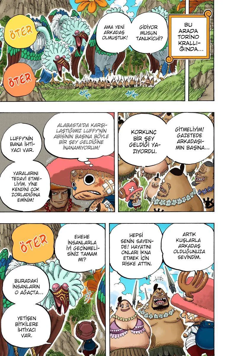 One Piece [Renkli] - Sayfa 18