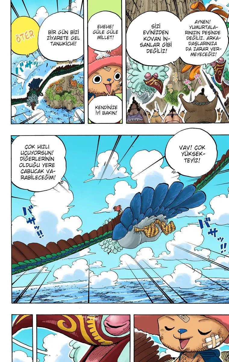 One Piece [Renkli] - Sayfa 19