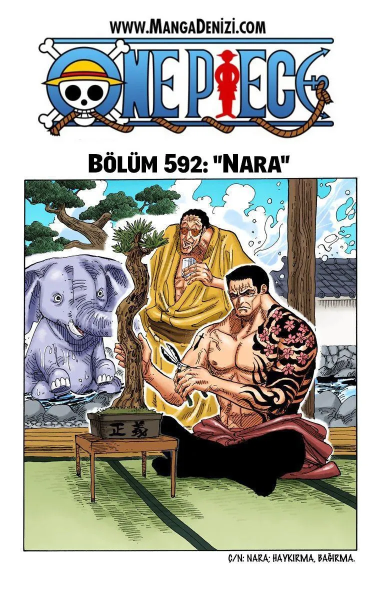 One Piece [Renkli] - Sayfa 2