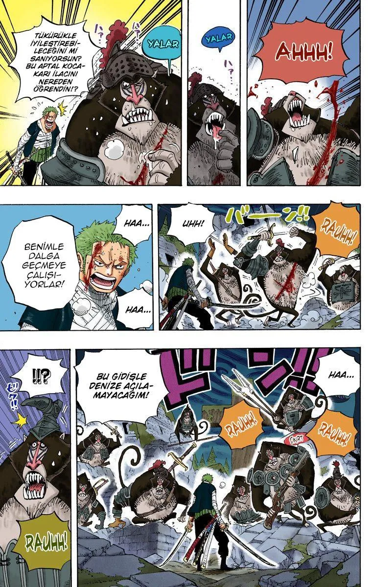 One Piece [Renkli] - Sayfa 6