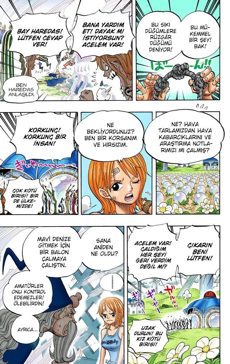 One Piece [Renkli] - Sayfa 10