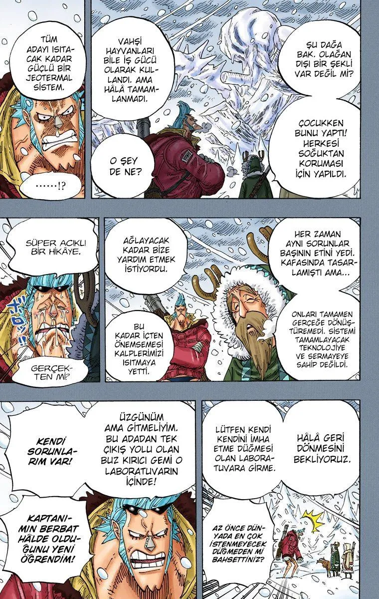 One Piece [Renkli] - Sayfa 14