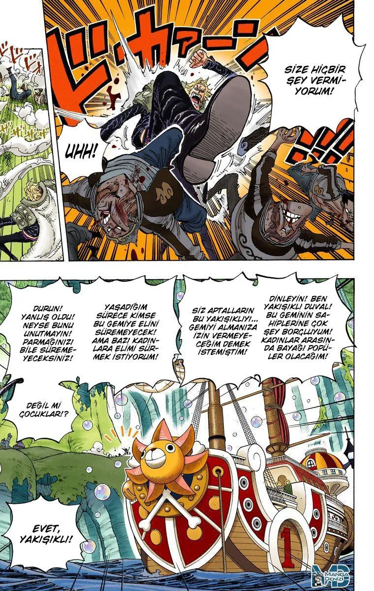 One Piece [Renkli] - Sayfa 14