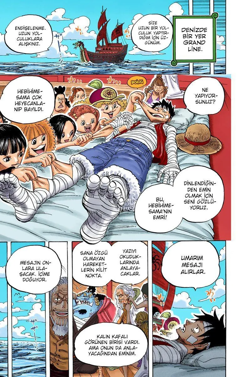 One Piece [Renkli] - Sayfa 15