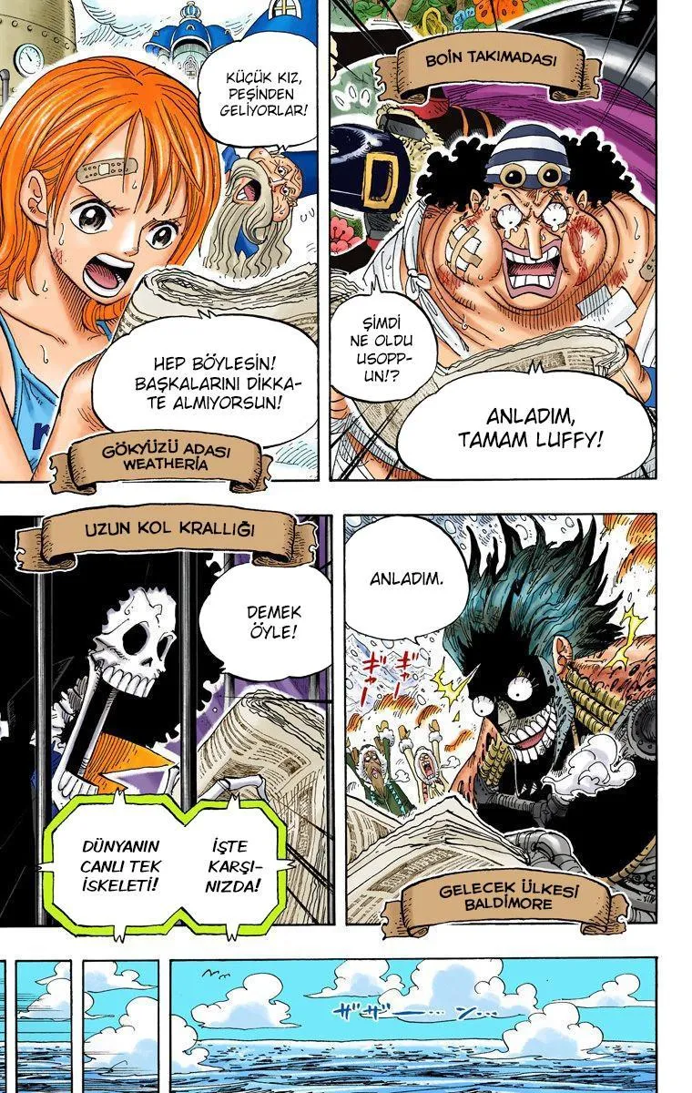 One Piece [Renkli] - Sayfa 17