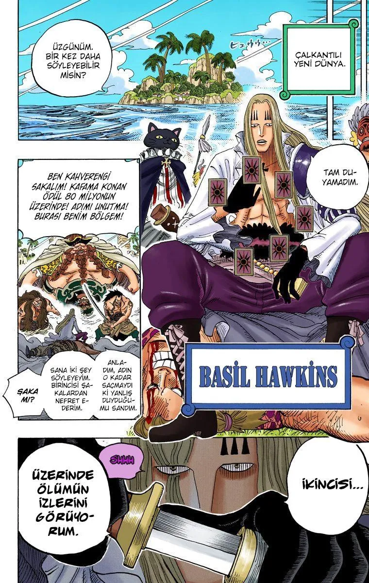 One Piece [Renkli] - Sayfa 18