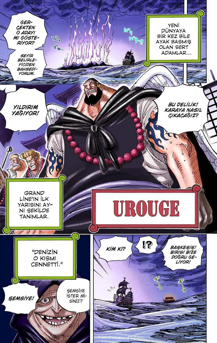 One Piece [Renkli] - Sayfa 19