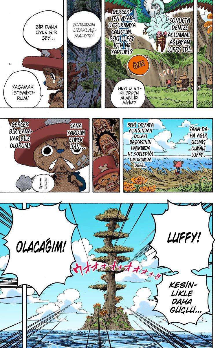 One Piece [Renkli] mangasının 0595 bölümünün 14. sayfasını okuyorsunuz.