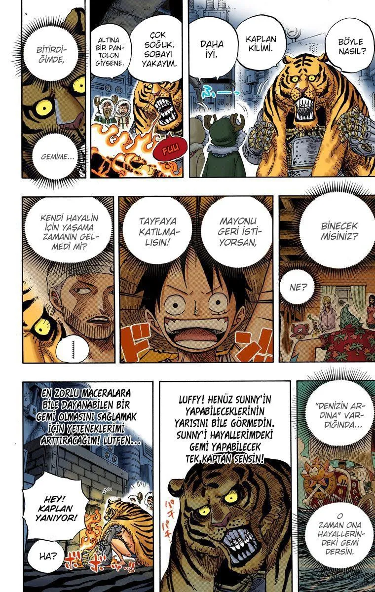 One Piece [Renkli] - Sayfa 15