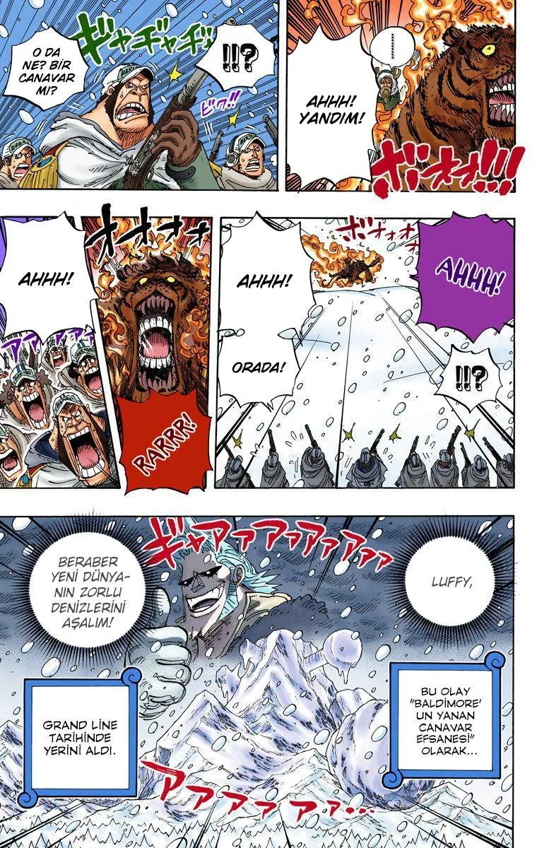 One Piece [Renkli] - Sayfa 16