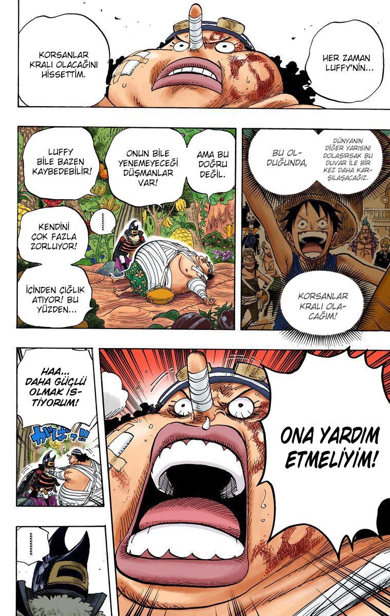 One Piece [Renkli] mangasının 0596 bölümünün 19. sayfasını okuyorsunuz.