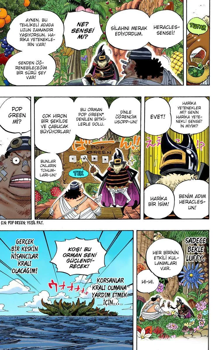 One Piece [Renkli] - Sayfa 20