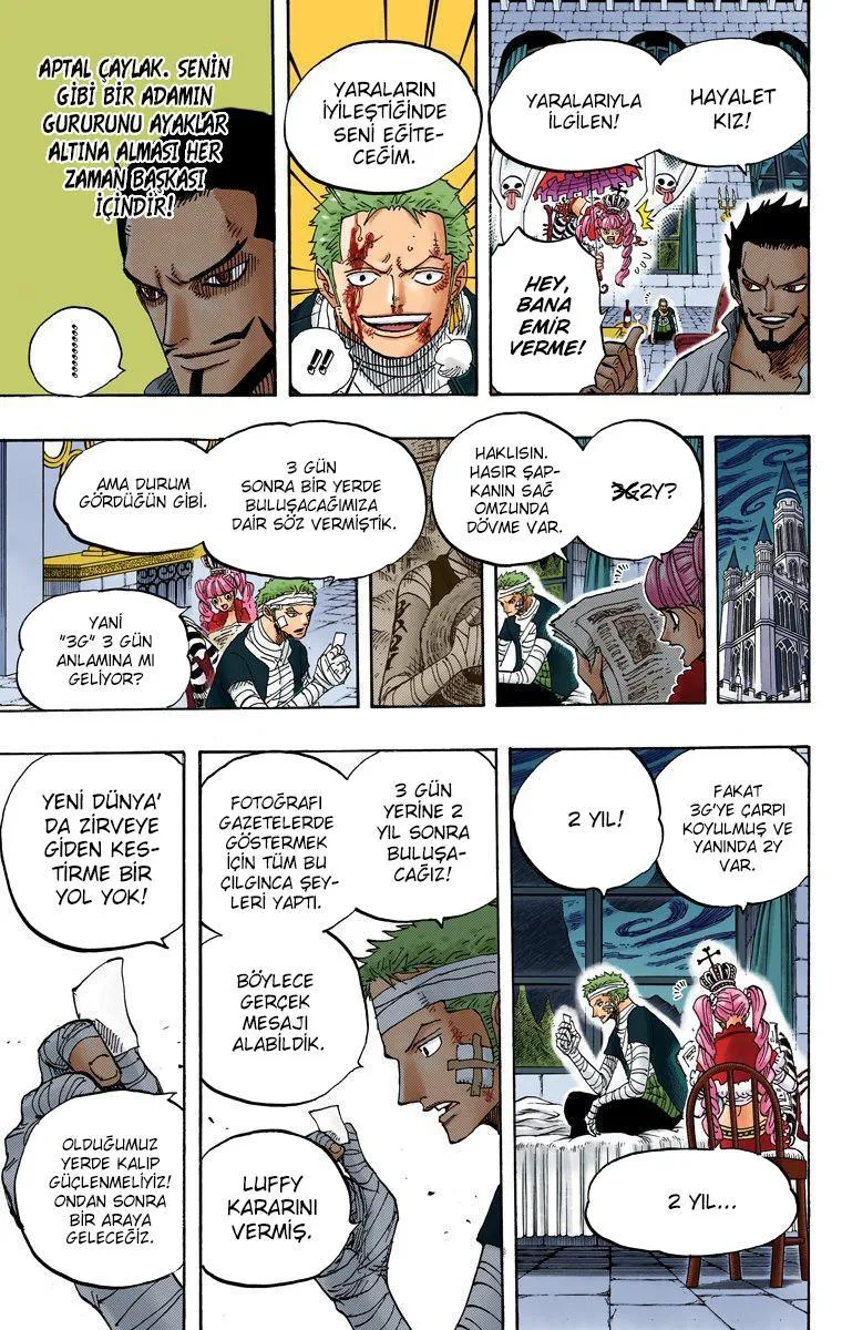 One Piece [Renkli] - Sayfa 6