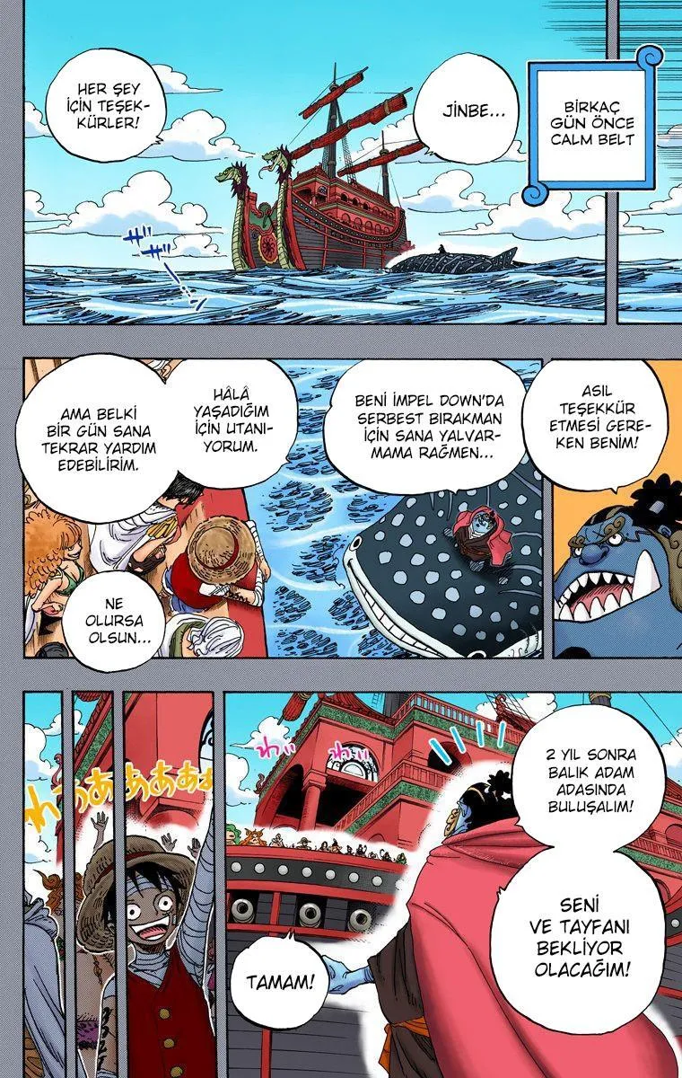 One Piece [Renkli] - Sayfa 8