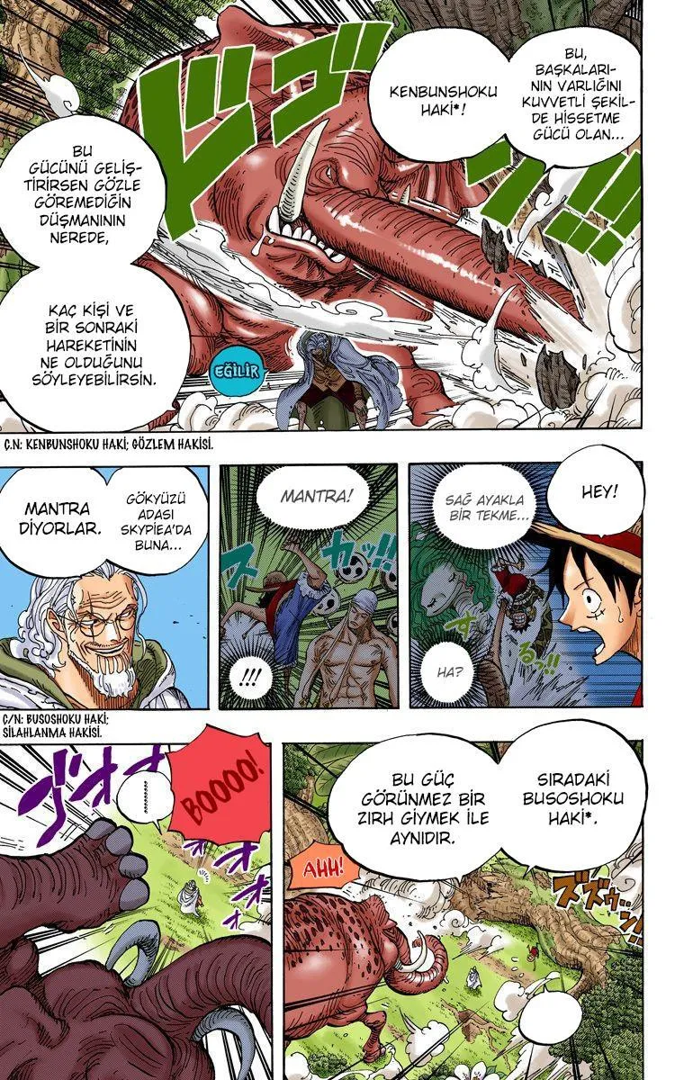 One Piece [Renkli] - Sayfa 12