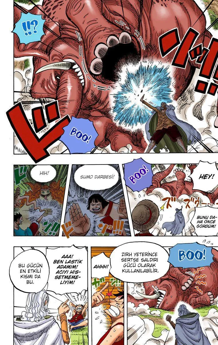 One Piece [Renkli] - Sayfa 13