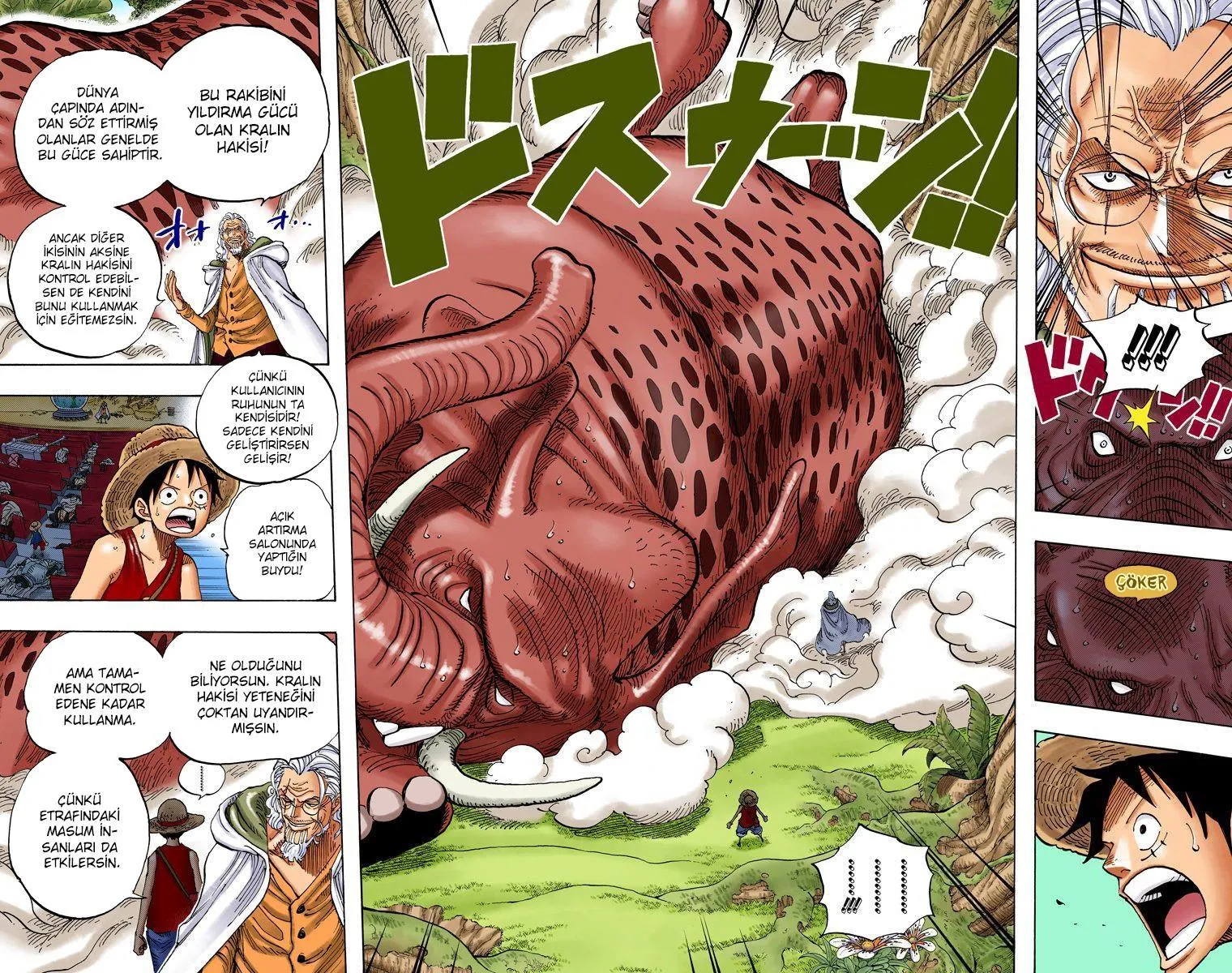 One Piece [Renkli] - Sayfa 15