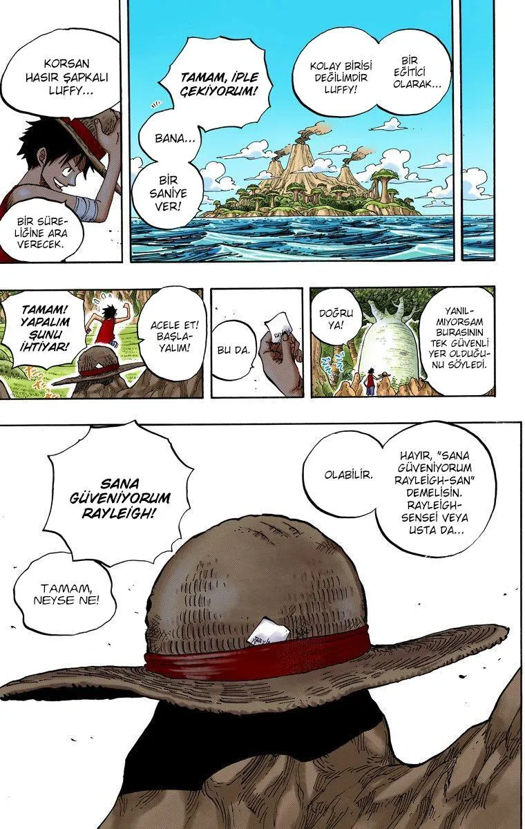 One Piece [Renkli] - Sayfa 17