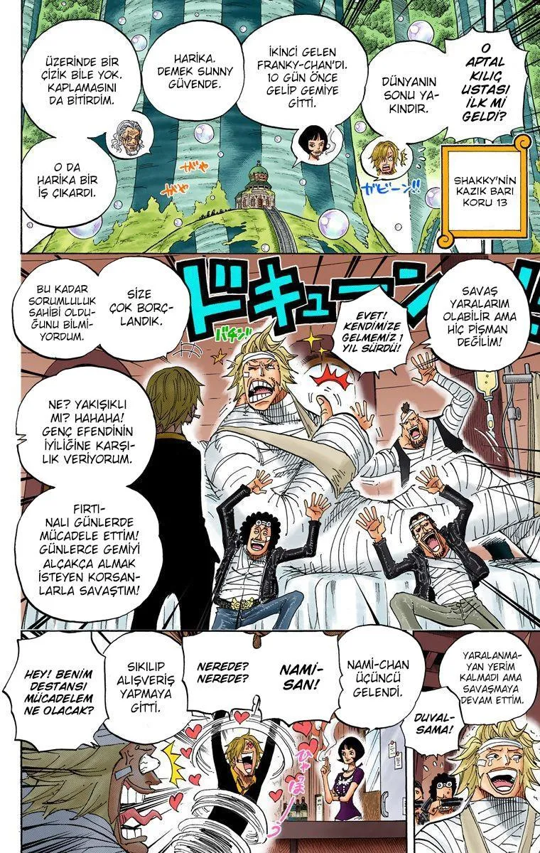 One Piece [Renkli] - Sayfa 15