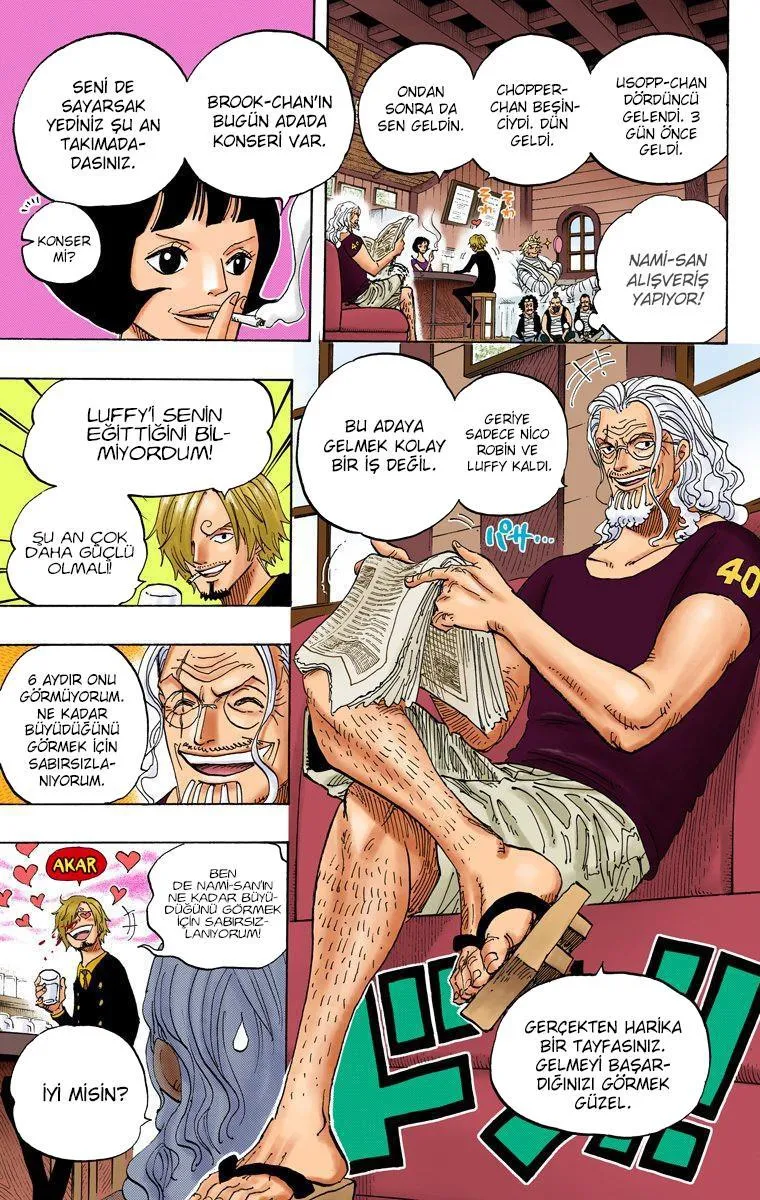 One Piece [Renkli] - Sayfa 16