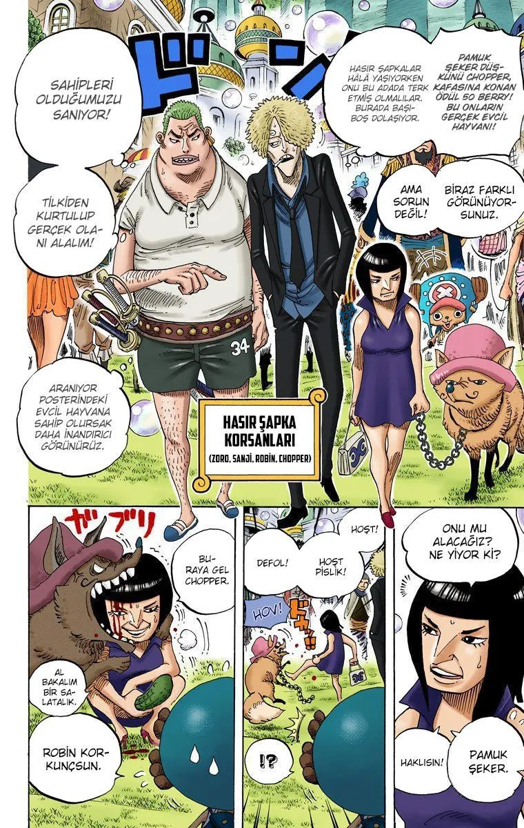 One Piece [Renkli] - Sayfa 19