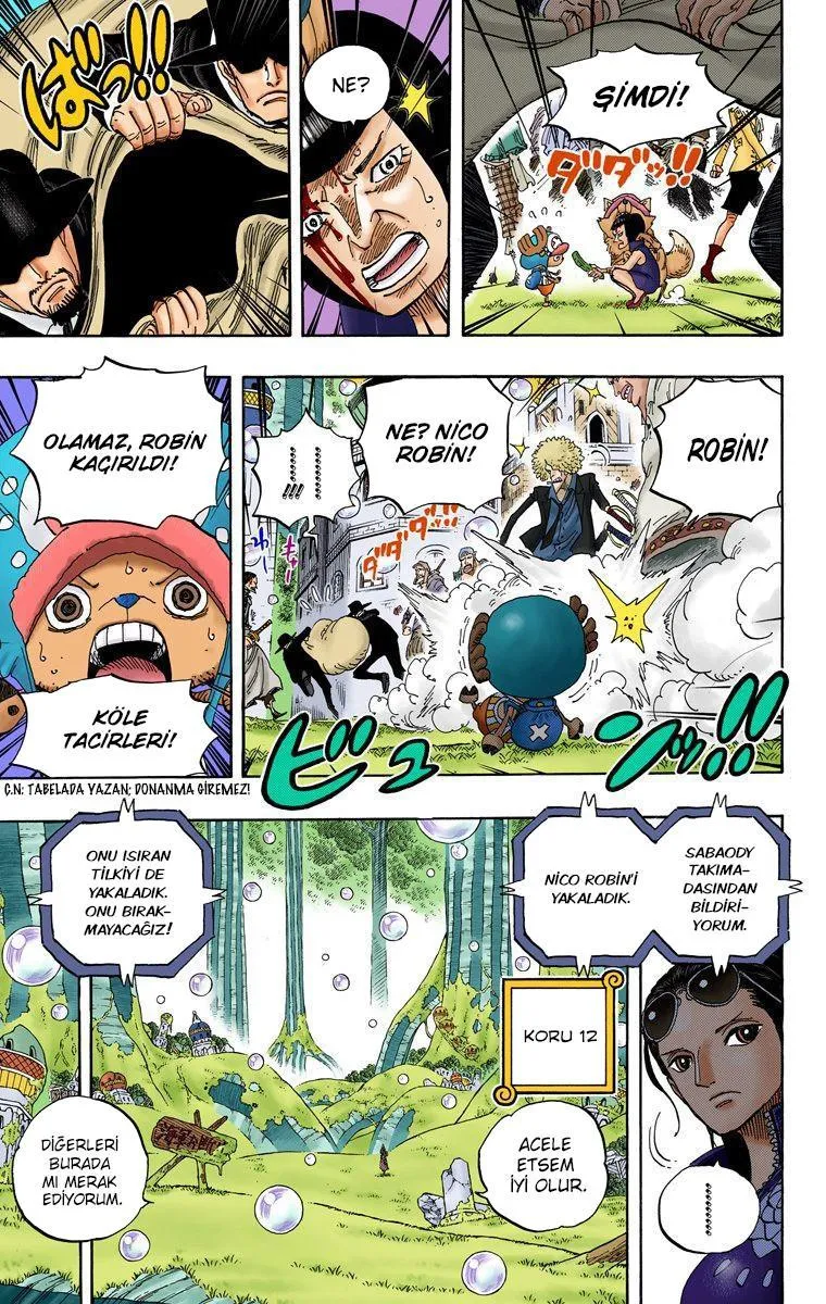 One Piece [Renkli] - Sayfa 20