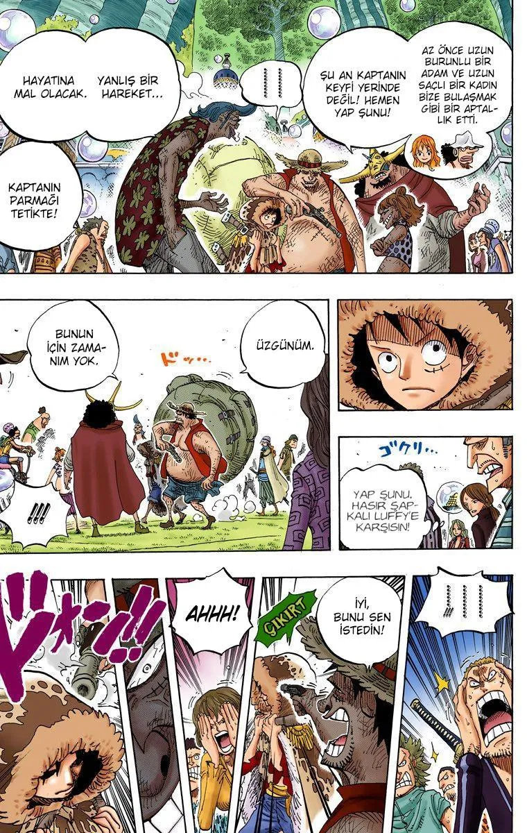 One Piece [Renkli] - Sayfa 6