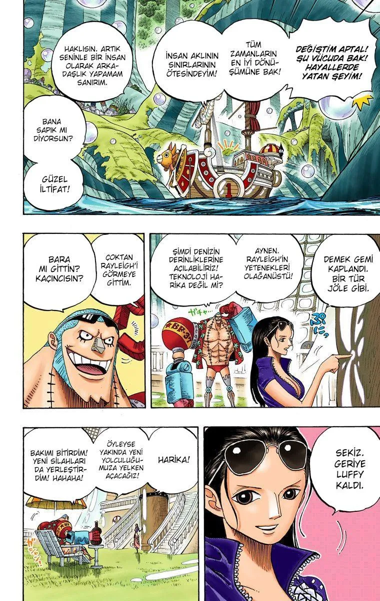 One Piece [Renkli] - Sayfa 10